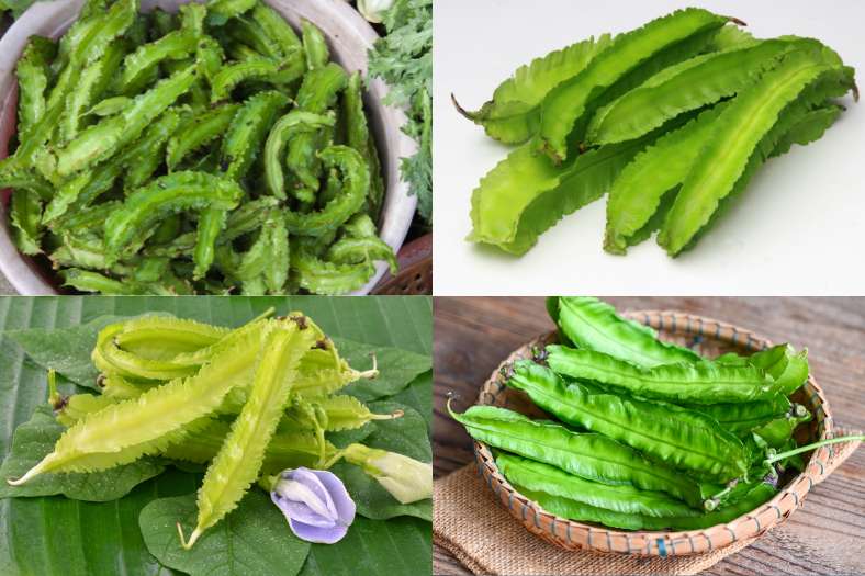 Bo sung dau rong vao thuc don bua an hang ngay co the ho tro ha duong huyet hieu qua. Do hoa: Tra My