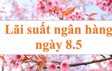 Bank interest rates continue to decrease. Photo: Ha Vy