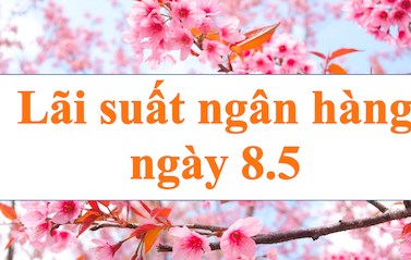 Lãi suất ngân hàng hôm nay 8.5: Giảm ở kỳ hạn ngắn