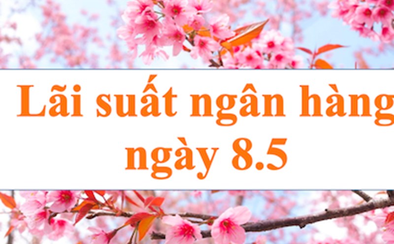 Bank interest rates continue to decrease. Photo: Ha Vy