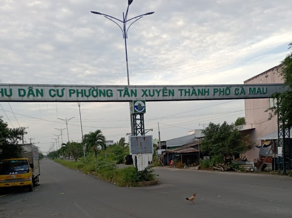 Khu dan cu phuong Tan Xuyen, thanh pho Ca Mau co gia duoi 1 ti dong/nen. Anh: Nhat Ho