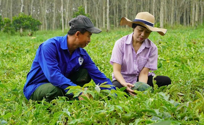 Nguoi dan lao dao vi dua hau mat mua. Anh: Viet Phuong