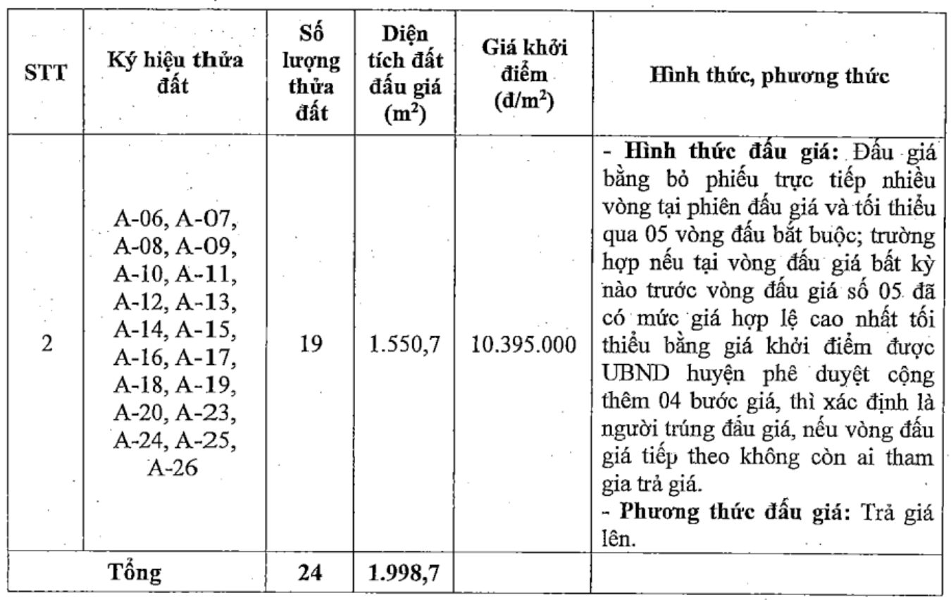 Thong tin cac thua dat trong phien dau gia ngay 25.5. Anh: Cong ty Dau gia Hop danh So 5 Quoc gia