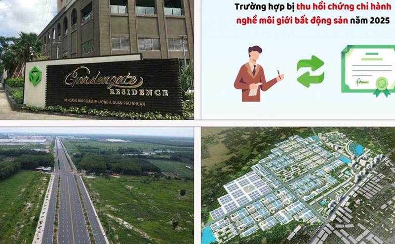 Illustrative photo: Phan Anh