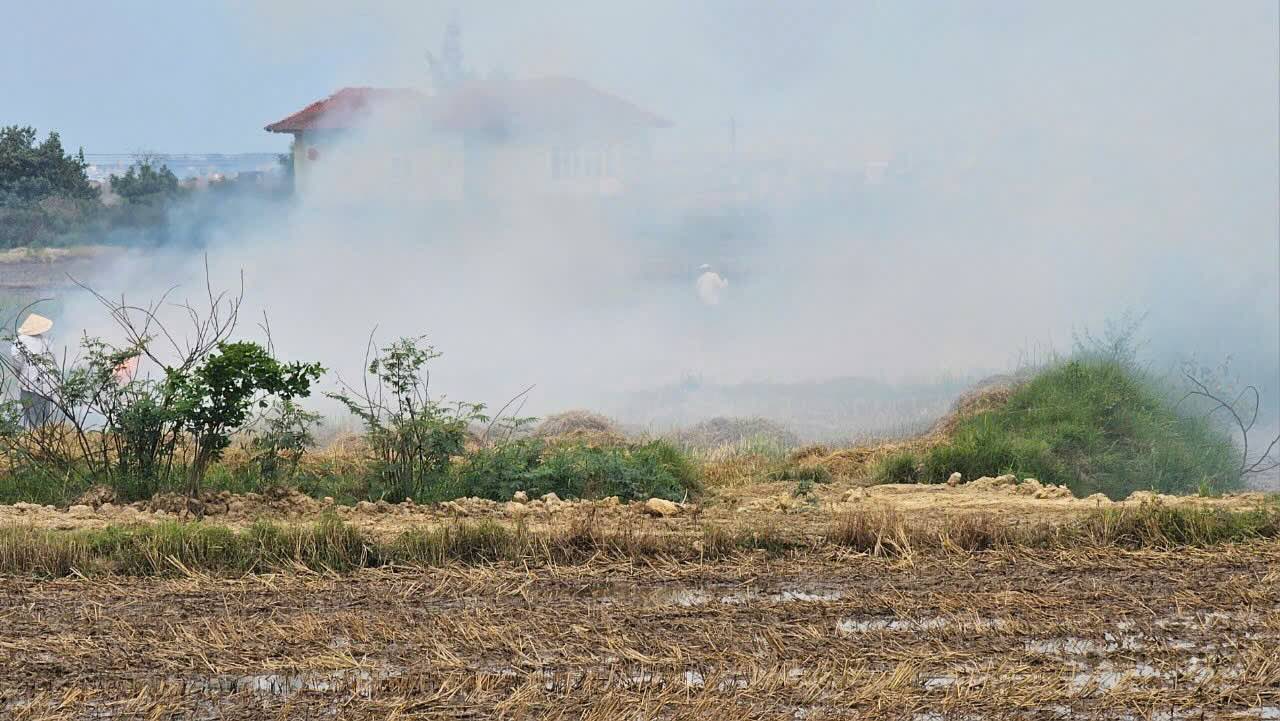 There is still a situation where people in Hue burn straw after harvesting rice. Photo: Phuc Dat.