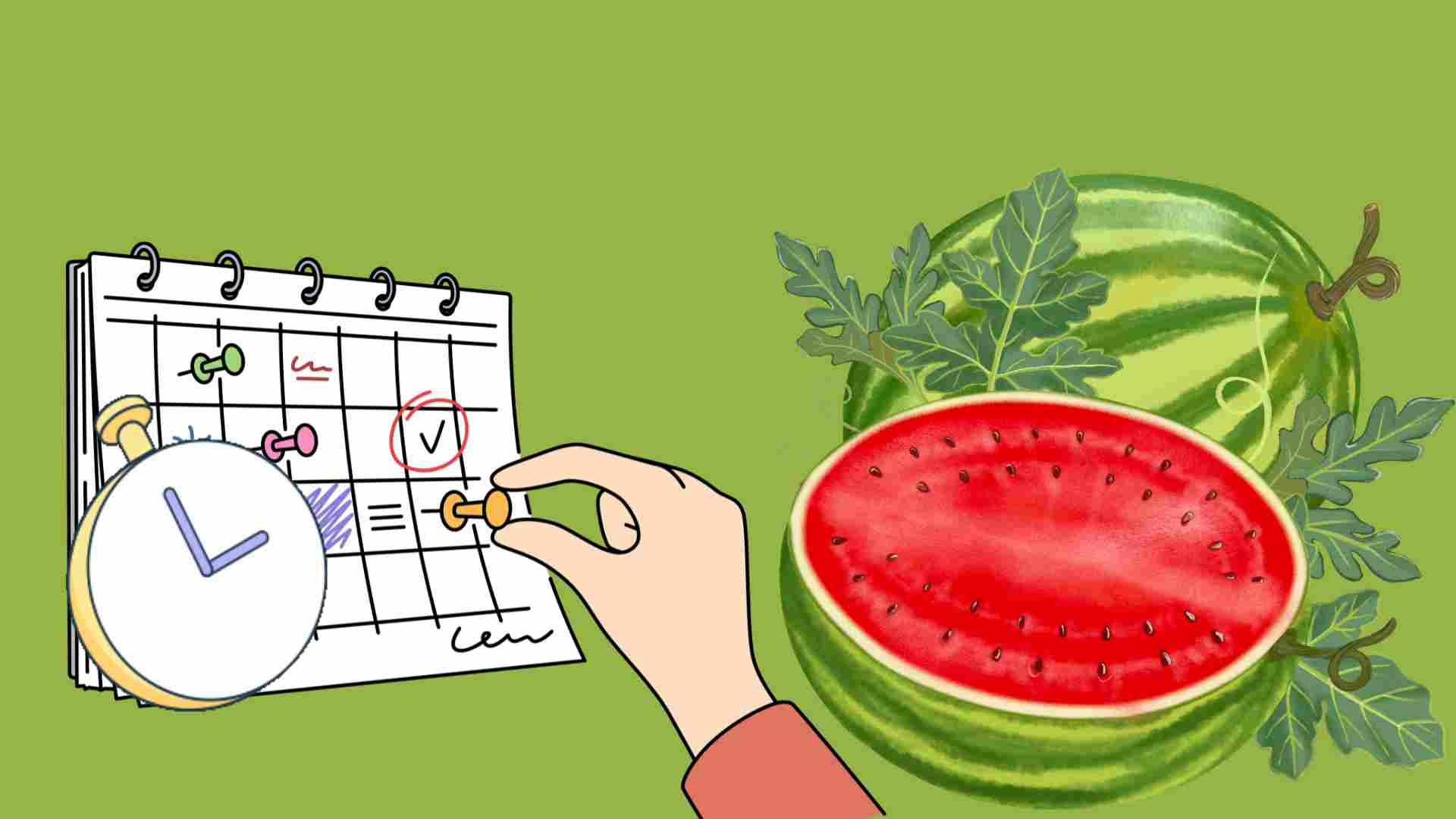 El mejor momento para comer pepino es para eliminar los venenos del higado