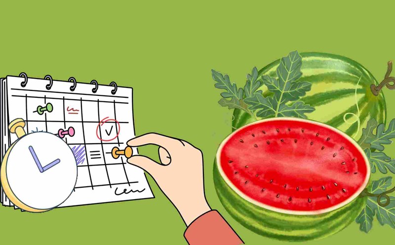 When to eat watermelon to detoxify the liver most effectively