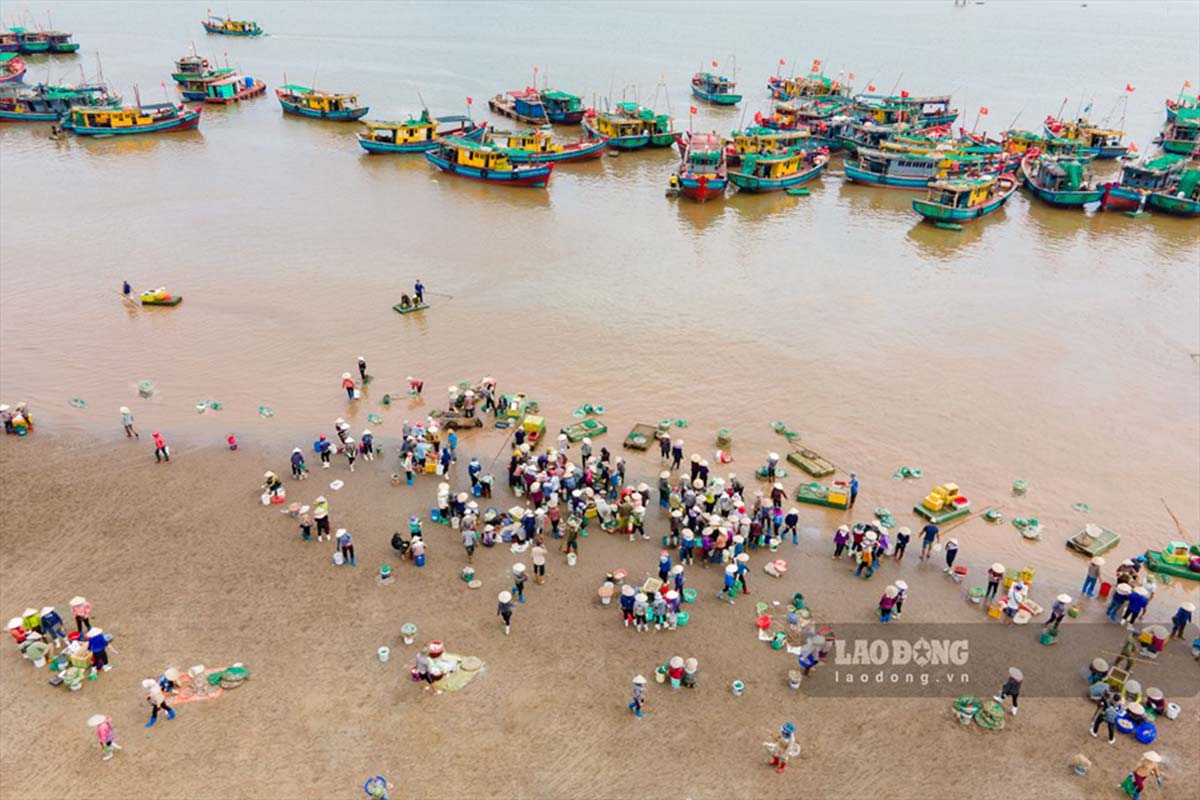 Chợ cá Giao Hải hoạt động bên bờ biển. Ảnh: Vũ Mừng