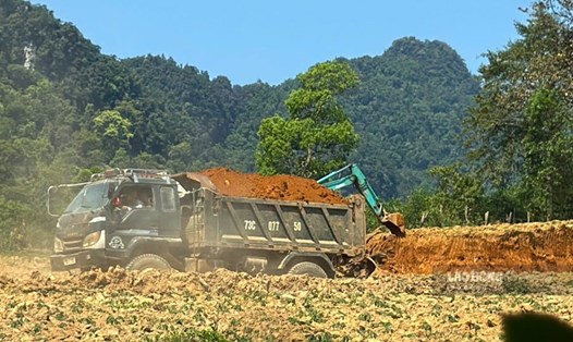 Đất lậu được chở từ rừng sản xuất về khu tái định cư bản Phú Minh. Ảnh: Công Sáng