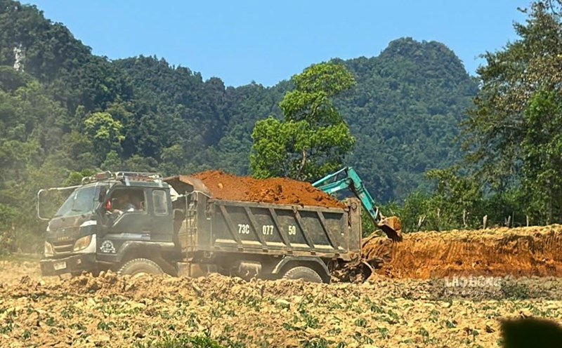 Illegal soil is transported from the production forest to the Phu Minh resettlement area. Photo: Cong Sang
