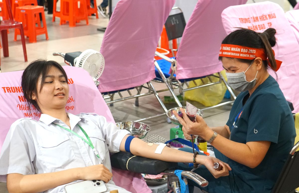 Actividades de donacion de sangre humanitaria. Imagen de la pagina