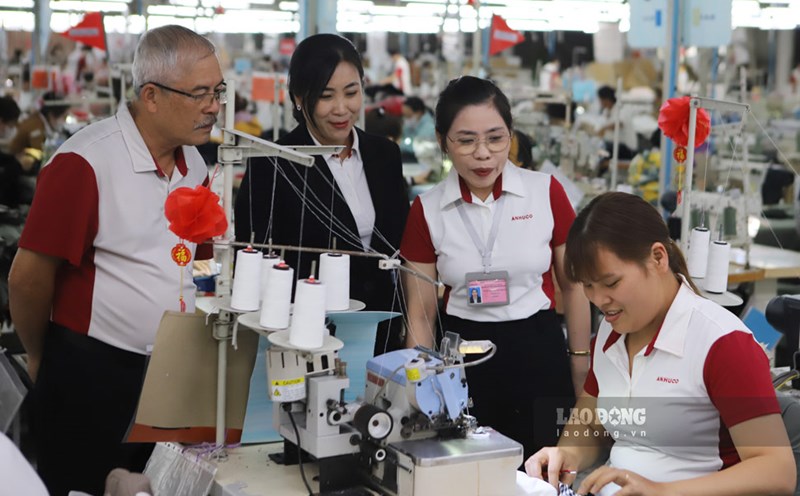 Production activities at An Hung Joint Stock Company (Phu Yen). Photo: Hoai Luan
