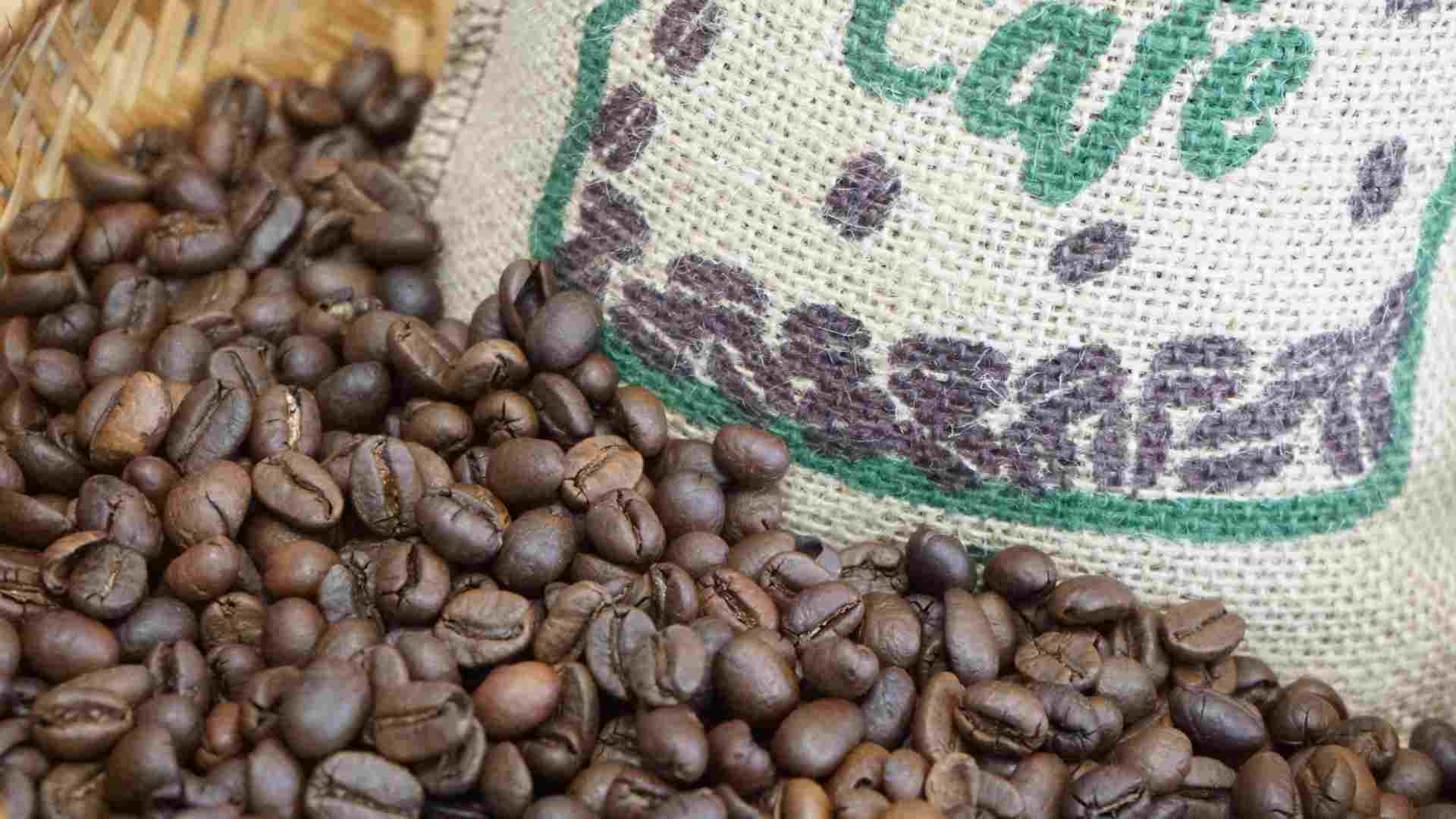 El cafe es bueno para la hipertension. Imagen: El limpio