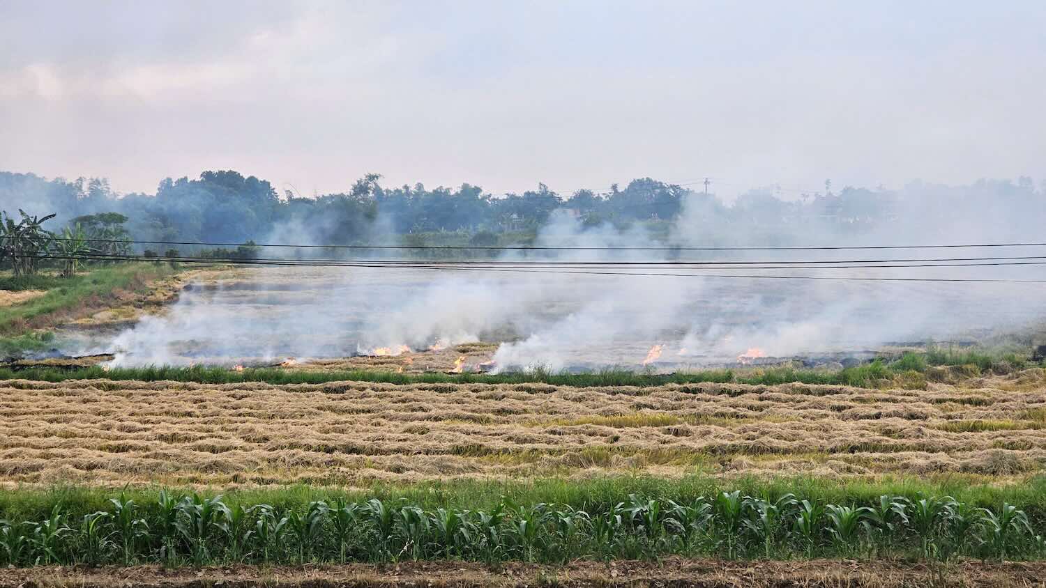 Los habitantes de Hue aun queman la paja despues de la cosecha. Foto: El mismo.
