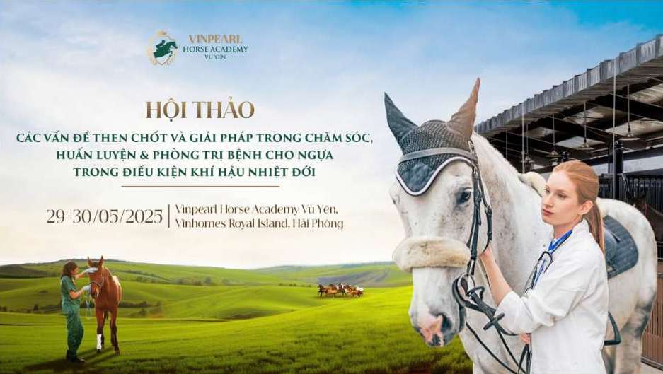 Hội thảo chuyên sâu hàng đầu về ngựa do Học viện Cưỡi Ngựa Vinpearl Vũ Yên tổ chức.

