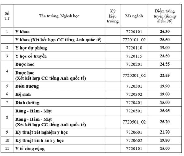 Điểm chuẩn năm 2024 của Trường Đại học Y Dược, Đại học Huế. Ảnh chụp màn hình