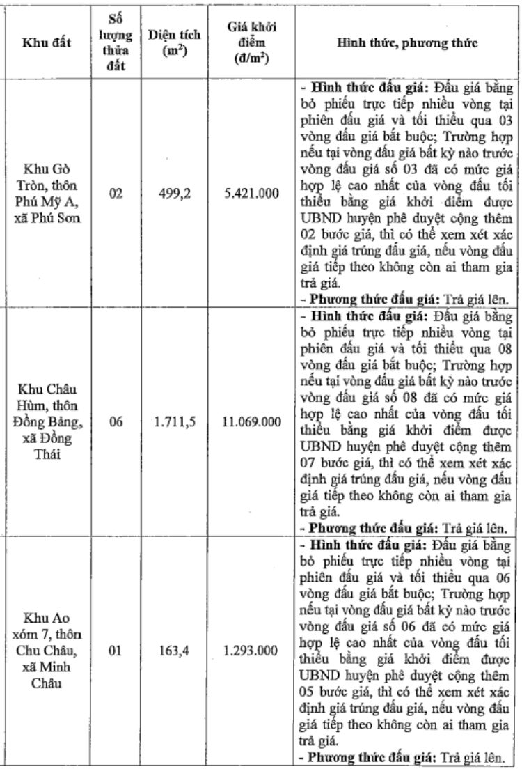 Thong tin mot so thua dat trong phien dau gia ngay 29.5. Anh:
