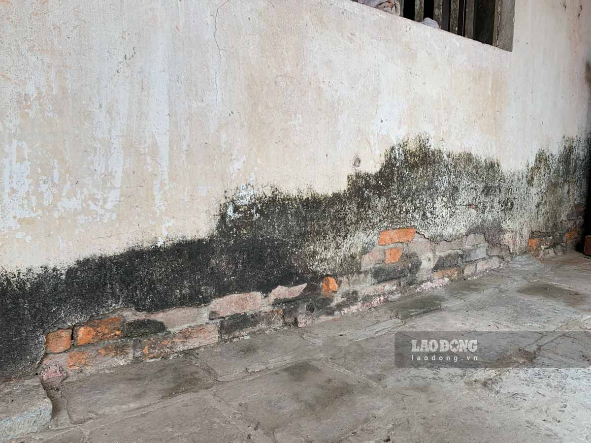 Vet nut dai tren tuong va vua bong troc. Anh: Ha Vi