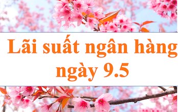 Lãi suất ngân hàng hôm nay 9.5: Tăng lên top đầu thị trường
