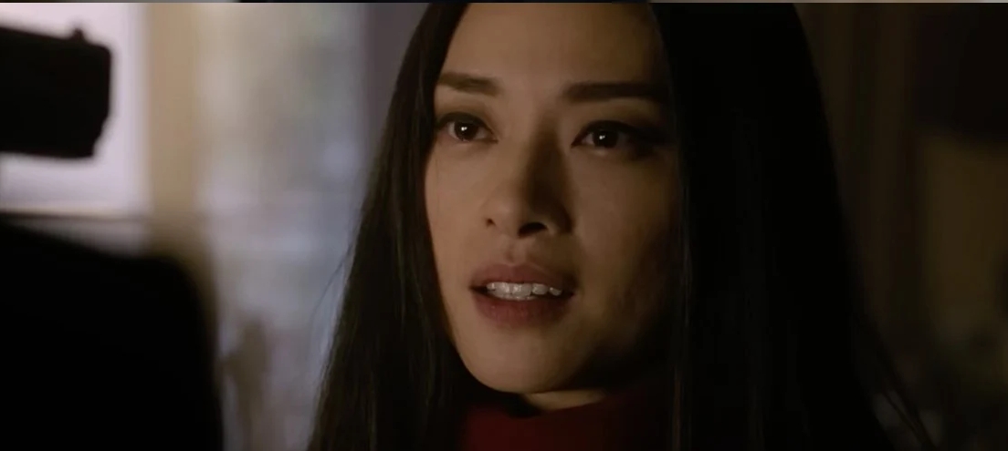 Ngo Thanh Van stars in a Netflix film. Photo: Netflix.