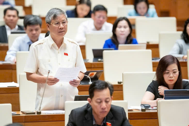 Dai bieu Nguyen Anh Tri. Anh: Quoc hoi