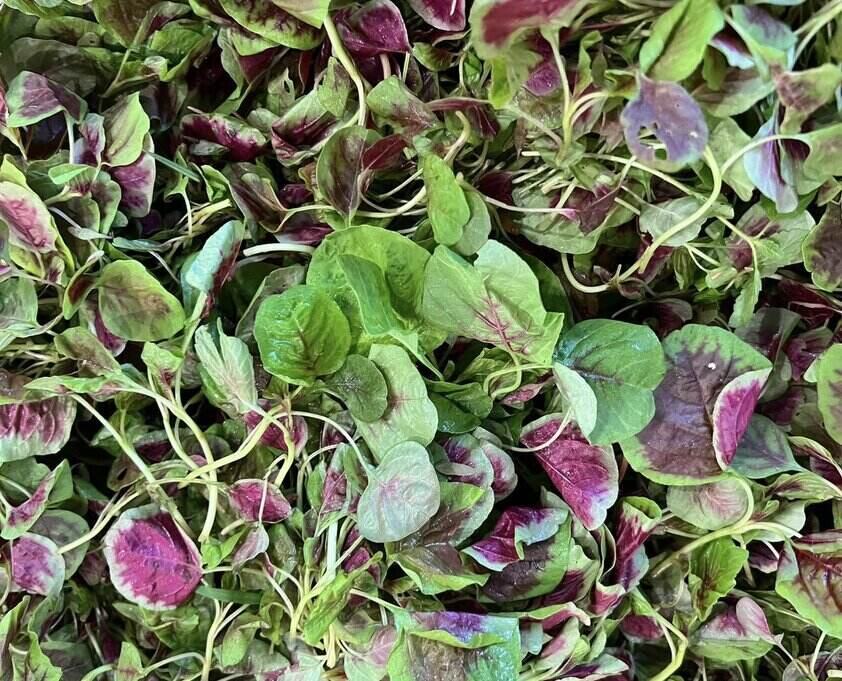 Shrimp or crab- cooked amaranth is a dish to cool the liver, laxatives, and is easy to eat, so it is included in the family's dinner. Photo: Kieu Vu