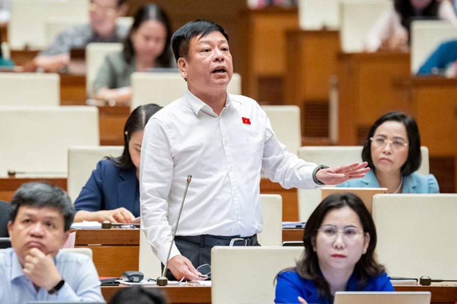 Dai bieu Nguyen Truong Giang - Doan DBQH tinh Dak Nong. Anh: Quochoi