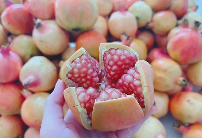 A bowl of pomegranate each morning not only helps boost immunity but also aids digestion, beautifies the skin and protects the heart with nutrients and antioxidants. Photo: Huong Son