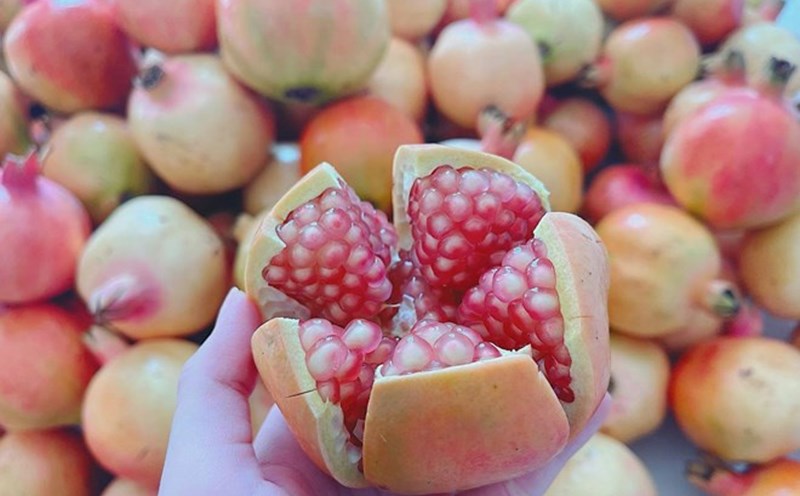 A bowl of pomegranate each morning not only helps boost immunity but also aids digestion, beautifies the skin and protects the heart with nutrients and antioxidants. Photo: Huong Son