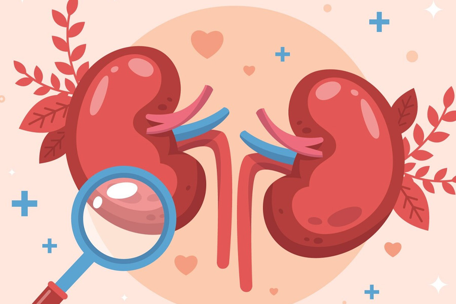 Las frutas y verduras son beneficiosas para la enfermedad de las piedras renales. El dibujo de la Virgen