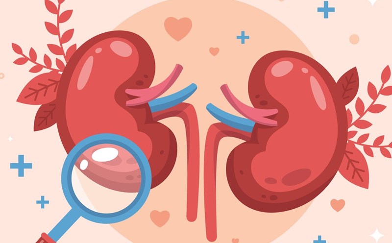 Fruits and vegetables are beneficial for kidney stones. Graphics: Thien Nhan