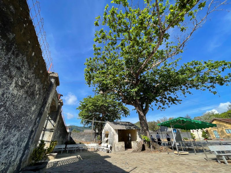 Every month, I listen to the whistle of Con Dao. Photo: Nhu Y