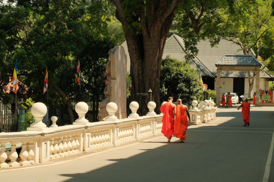 In front of the Buddhist Museum.