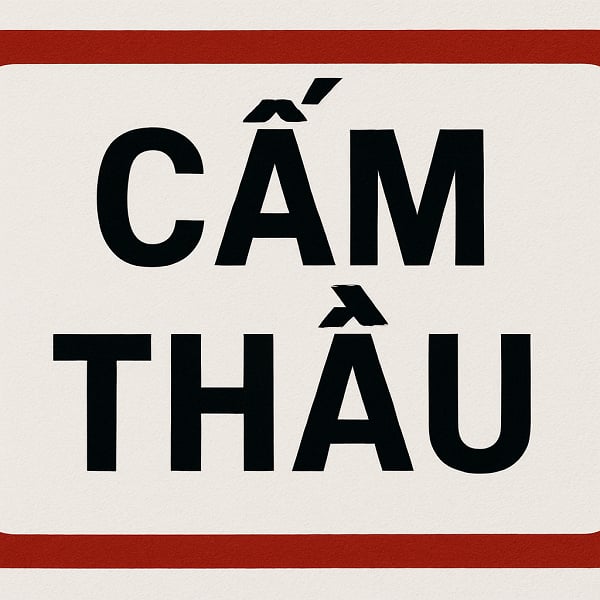 CIENCO4 has just been banned from bidding in Ha Nam. Photo created by AI, implemented: Xuyen Dong