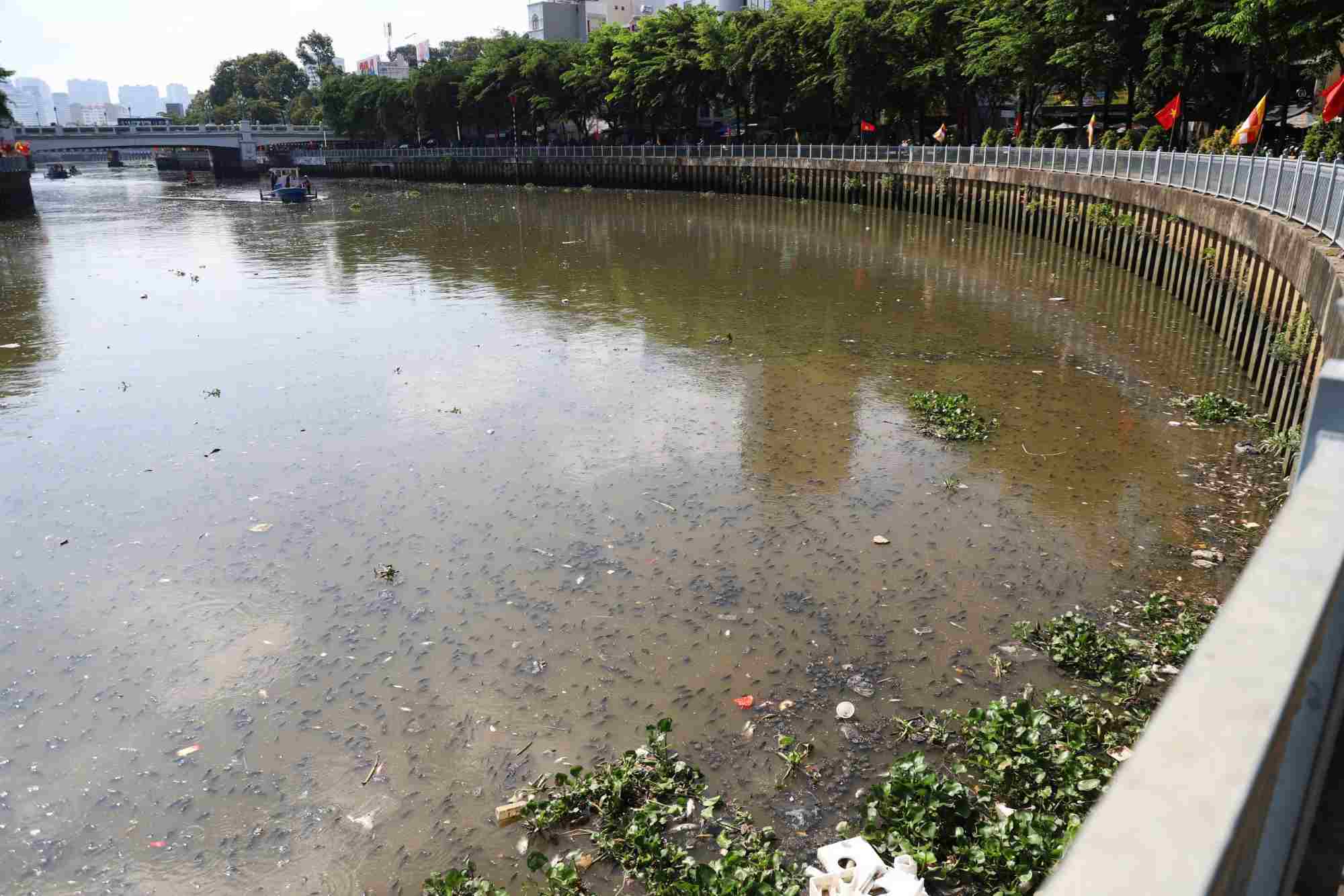 Un pez flotando entre la basura en el canal de Tauhua-Tsi-Ching (TPHCM). Foto: El Ejercito.