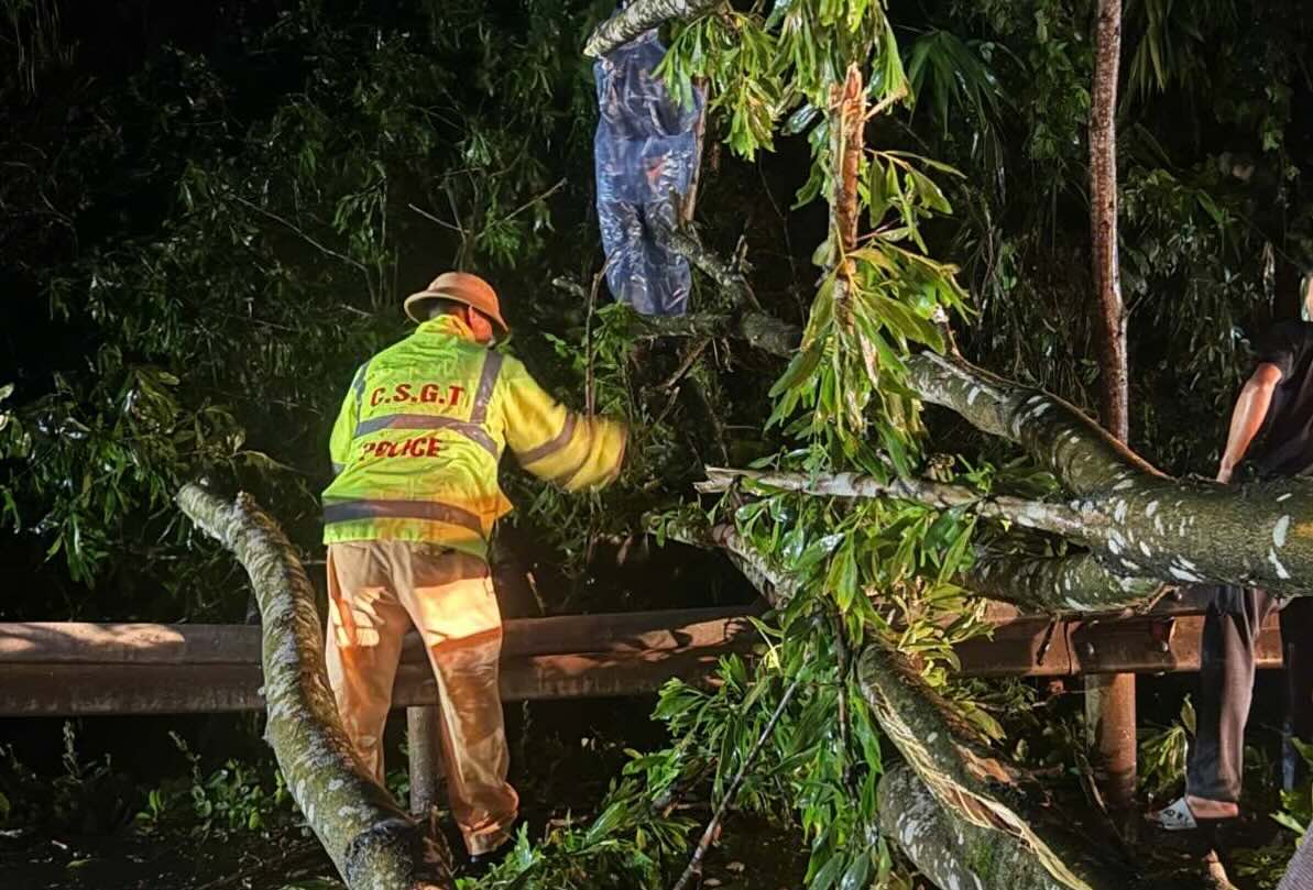 A fallen tree blocked National Highway 12C, causing traffic congestion. Photo: Quang Binh Traffic Police Department