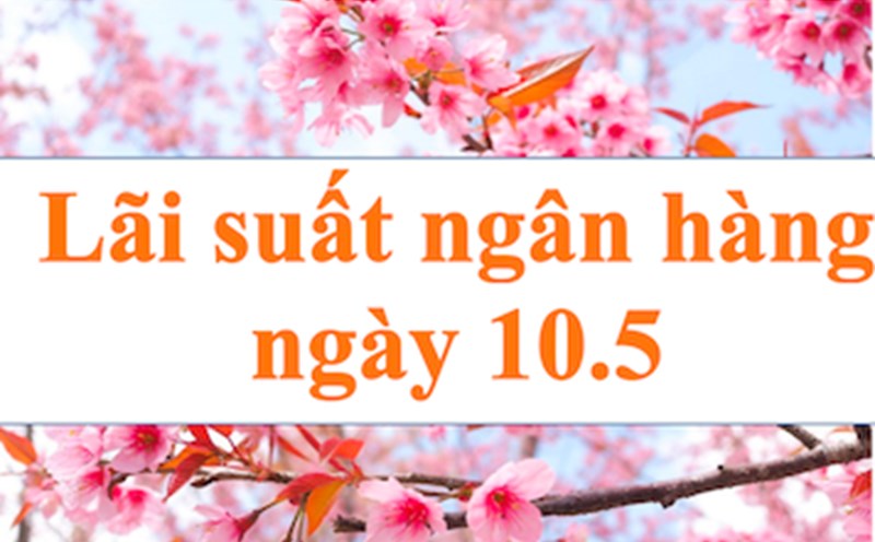 Agribank has the highest interest rate in the Big4 group. Photo: Ha Vy