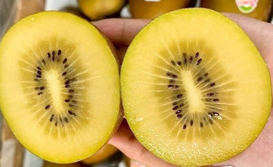 Housewives can consider and add kiwi to their diet to supplement calcium. Photo: Kieu Vu