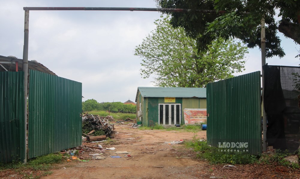 “Sau khi nhan duoc phan anh, chung toi se cho di doi het nhung vat lieu la go cu, go thua sau qua trinh trung tu dien Thai Hoa ra khoi lan trai. Dong thoi, se chinh trang khu vuc xung quanh va dat them cac bien bao de nang cao y thuc cua nguoi dan, tranh tinh trang phong ue khong dung noi quy dinh khi tham quan Dai Noi Hue” – lanh dao Trung tam noi.