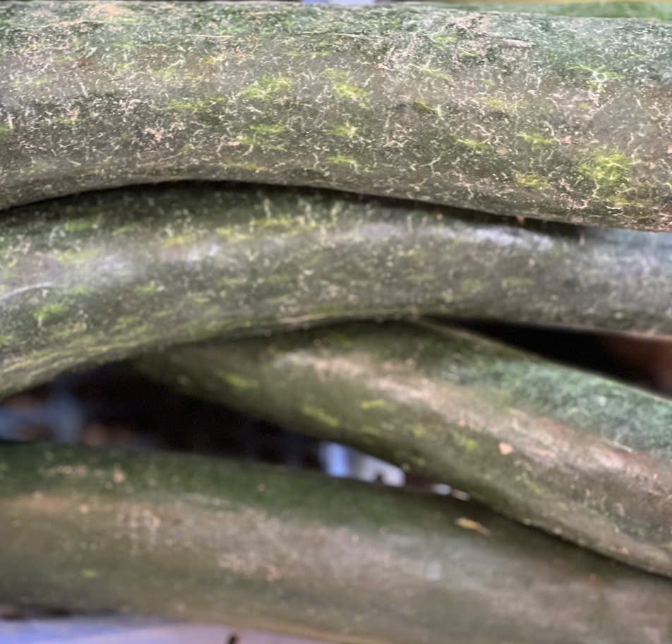 You should supplement squash soup in the summer to help cool the liver and nourish the kidneys. Photo: Quang Minh.