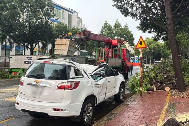 Mưa dông ở Vũng Tàu làm nhiều cây gãy đổ, có nơi gây hư hỏng nặng xe ôtô