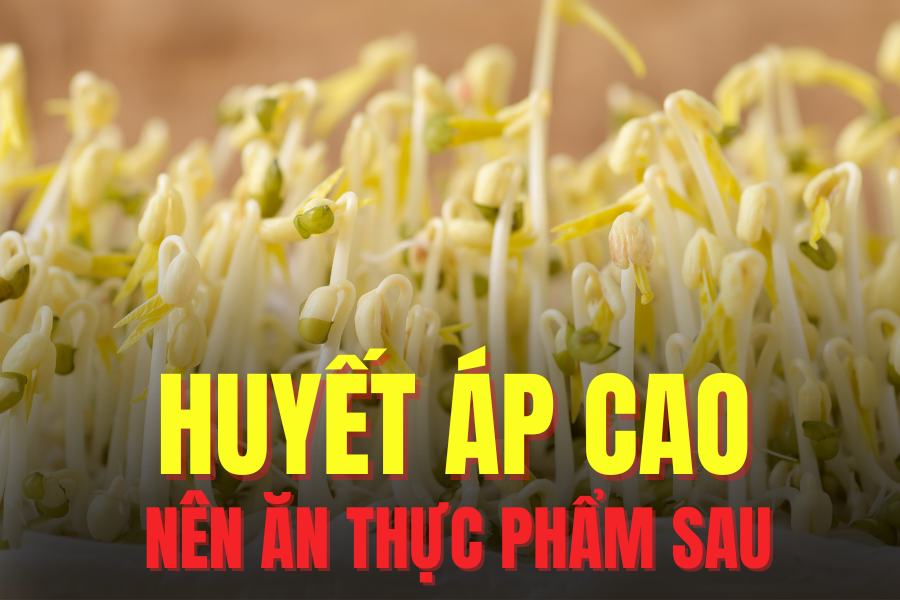 Bean sprouts can help eliminate bad cholesterol, helping to prevent people with high blood pressure and blood cholesterol. Graphics: Tra My