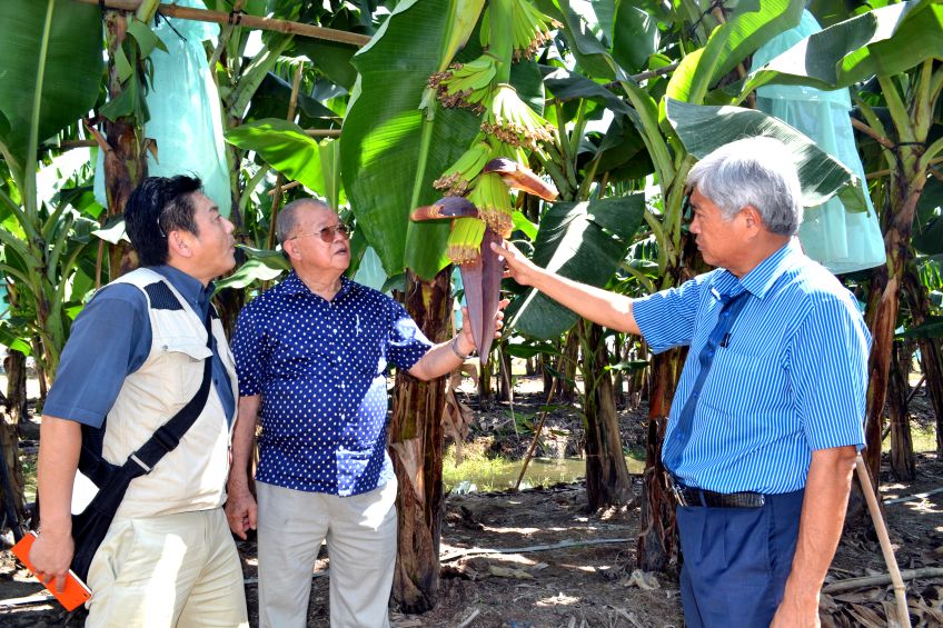 GSTS Tsuji, GSTS Vo Tong Xuan cung ong Ut Huy (trai sang) tham quan thuc dia vung trong chuoi xuat khau. Anh: Luc Tung 