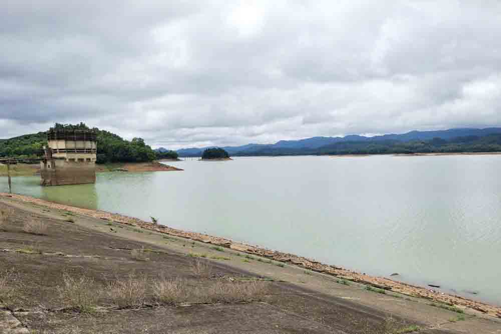 El lago de madera donde la compañia de exportacion de Vietfood libera a los peces espontaneos hace criticar la unidad de gestion. Foto: Tran Tuan.