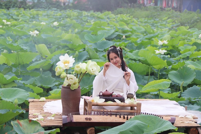 Sen Ho Tay attracts Hanoians. Photo: Nguyen Linh