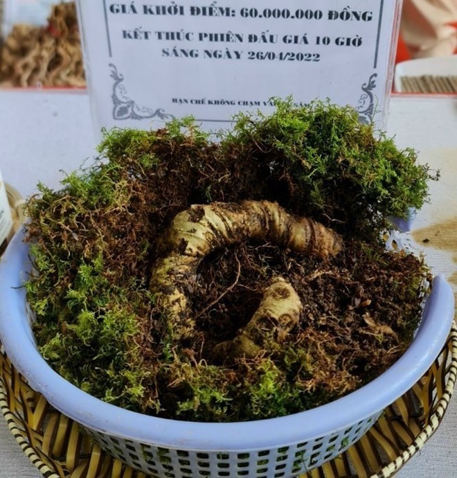 El derecho a usar indicaciones geograficas ayuda a identificar productos de calidad y origen. Foto: Thanh Tuan