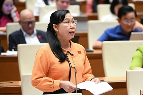 Dai bieu Phan Thi My Dung cho rang an chung than khong xet giam an chua han nhan van hon muc an tu hinh. Anh: Quochoi