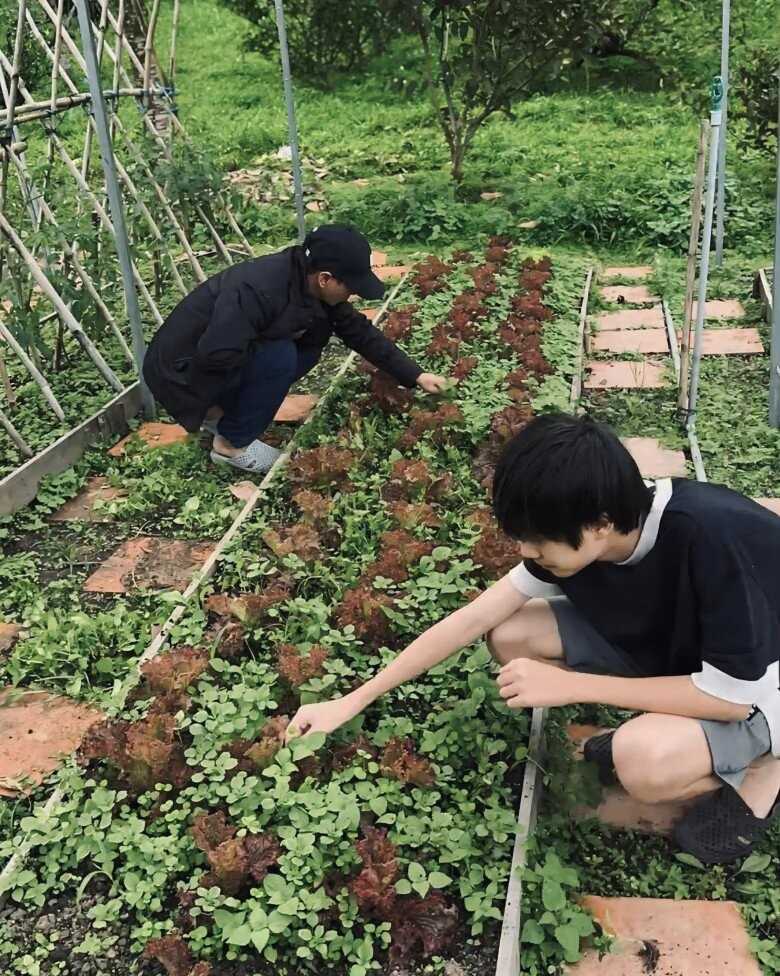 Anh: Nghe si cung cap.