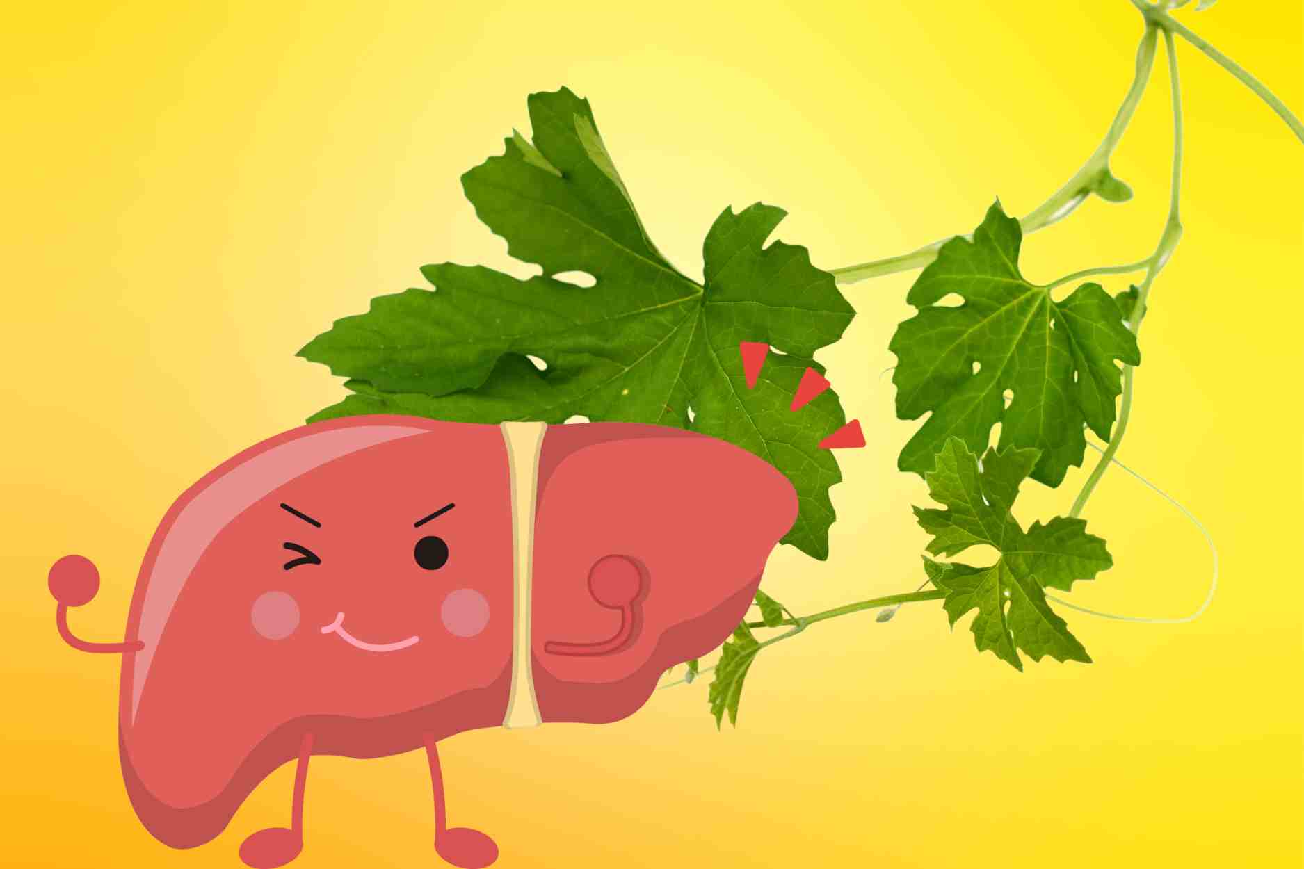 Bitter taste leaves detoxify the liver, cool and remove accumulated toxins