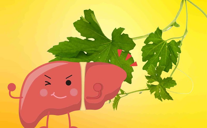 Bitter taste leaves detoxify the liver, cool and remove accumulated toxins